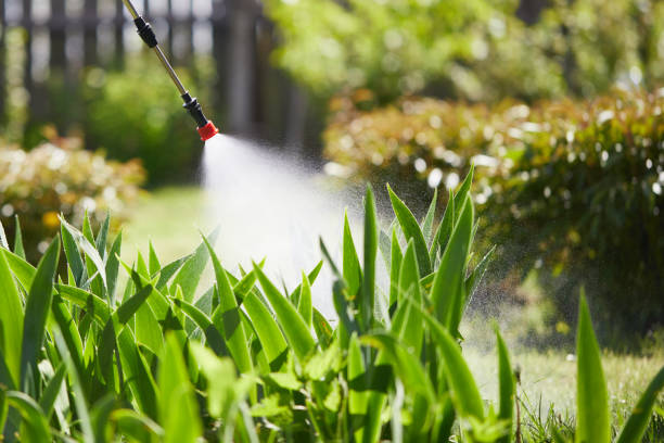 24/7 Emergency Ant Control experts in Marion, NC