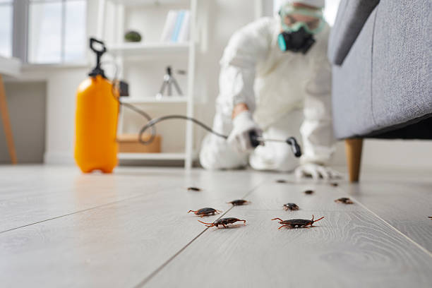 Trusted Rodent Control service in Marion, NC - Nex Pest Control