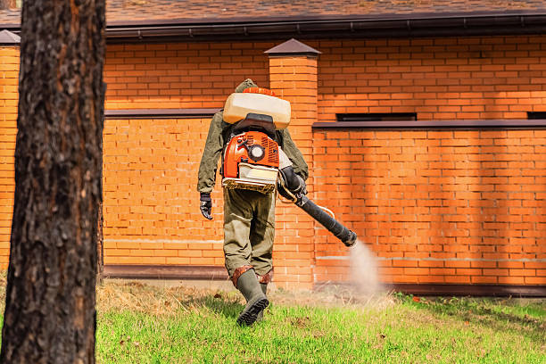 Trusted Ant Control service in Marion, NC - Nex Pest Control